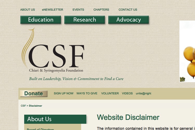 Screenshot of Chari Foundation Website Disclaimer &