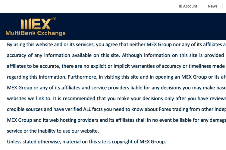 Screenshot of MEX Group Website Disclaimer
