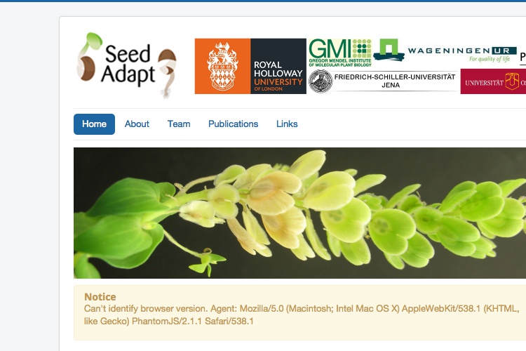 Screenshot of SeedAdapt and Website Disclaimer